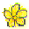 西洋オトギリ草