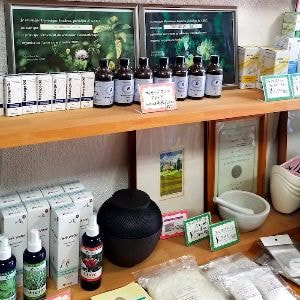 みなみの香草屋店内2