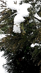 20140225山の様子2