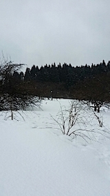 20140225山の様子3
