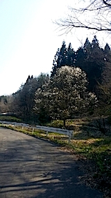 20140424ظͻ1