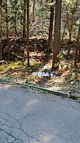 20140424ظͻ2