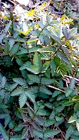 20140424Υʥĥ業