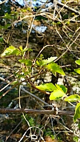 201404241
