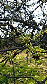 20140424βֲ
