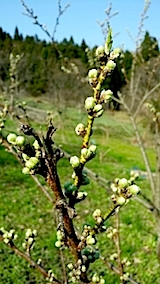 20140424βֲ