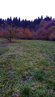 20141117ͻ1