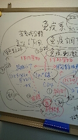 20141215ޤΥߥʡ1