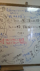 20141215ޤΥߥʡ2
