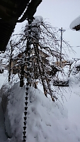 20141229外の様子昼前2