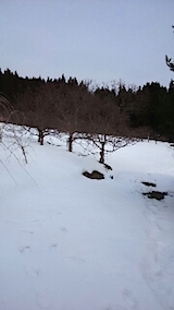 20150126山の様子2
