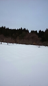 20150126ラベンダーの畑