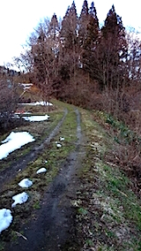 20150225ラベンダーの畑へと向かう急な坂道の様子1