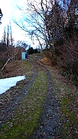 20150225ラベンダーの畑へと向かう急な坂道の様子2