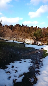 20150225八重紅枝垂れ桜のある斜面の様子1