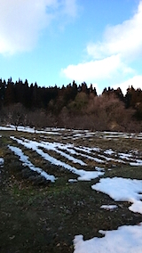 20150225ラベンダーの畑1