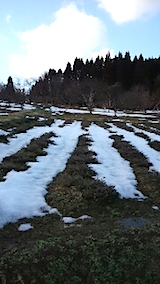 20150225ラベンダーこいむらさき