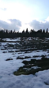 20150225ラベンダーの畑2