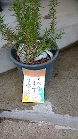 20150313すべりますご注意を