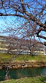 20150331沼κ