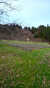 20150331٥Ȫ
