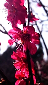 201503231ߤβ8