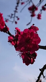 20150331ߤβ13