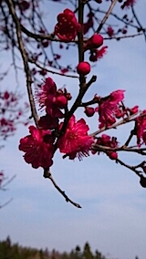 201503231ߤβ14
