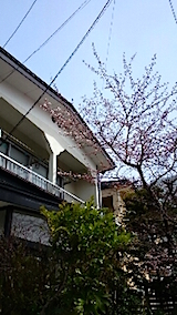20150410༰ε3