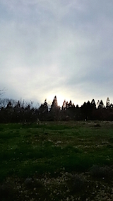 20150410ζͻ