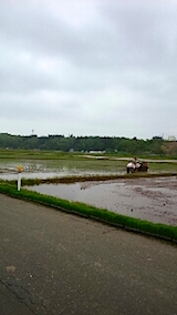 20150514ĻԤĿϤޤ7