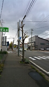 20151009外の様子朝1