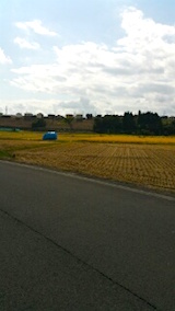 20151009山へ向かう途中の様子田んぼ