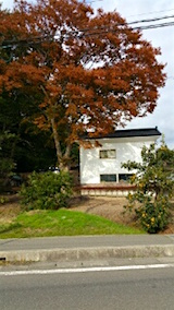 20151009山からの帰り道の様子ケヤキの木