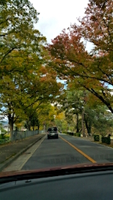 20151031京都鴨川堤防沿い