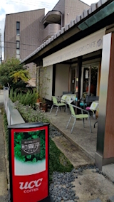 20151031北山セロリ