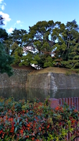 20151031二条城前1