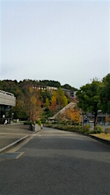 20151101京都産業大学同期会第十期生懇親会4