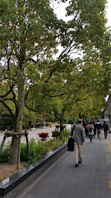 20151101京都国際会議場バスターミナル