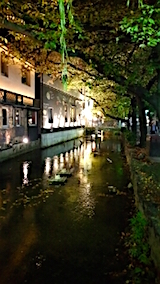 20151101京都西木屋町通り1