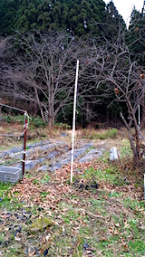 20151210冬支度の済んだ野菜畑の様子
