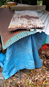 20151210耕耘機の冬支度2