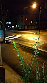 20151210外の様子夜のはじめ頃1