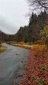 20151211山へ向かう途中の様子峠道