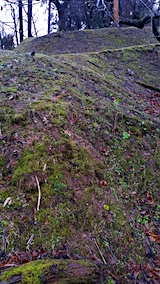 20151211ラベンダーの畑へと続く急な坂道の様子2