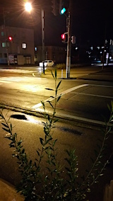 20151211外の様子夜のはじめ頃