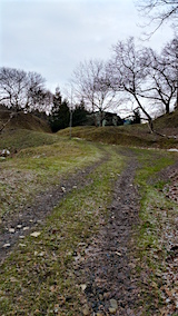 20160105٥Ȫؤȸޤʺƻͻ