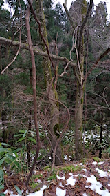 20160105ͻһ֥ɥΥĥ