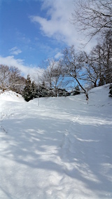 20160116٥Ȫؤ³ޤʺƻͻ2