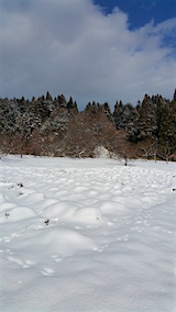 20160116٥Ȫ